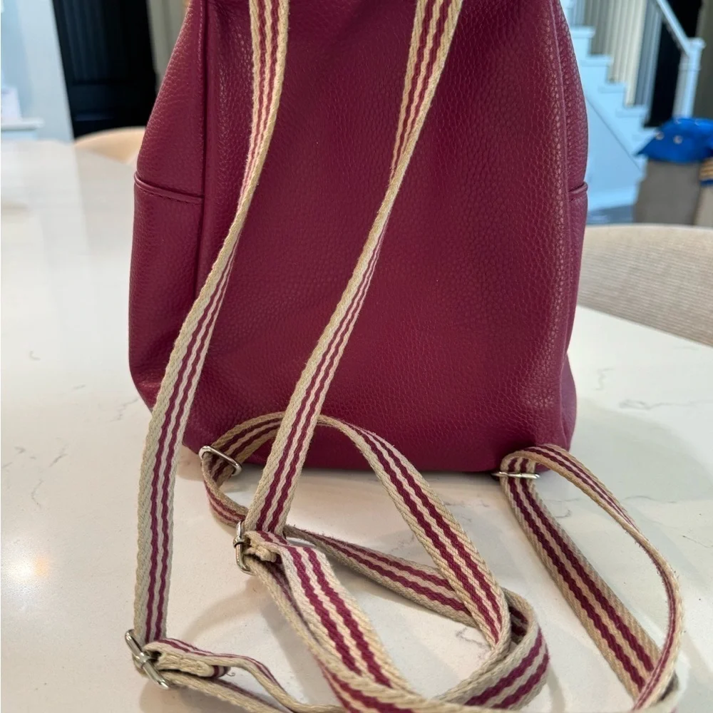 Jewell small backpack purse.  Purple in color. Good used condition.